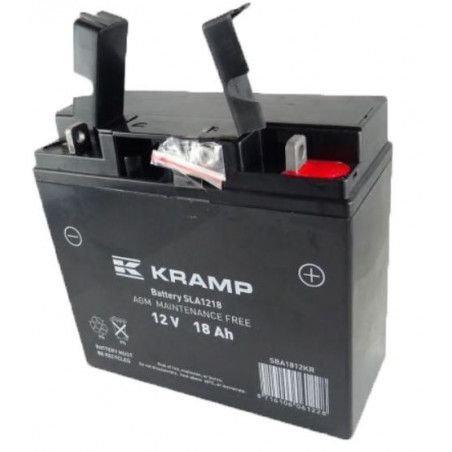 BATTERIE SLA1218 AGM MAINTENANCE FREE 